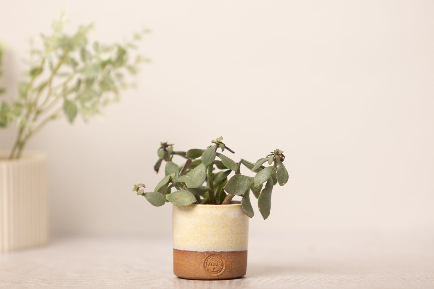 Retreat Aromatherapy Candle in refillable, handmade pot